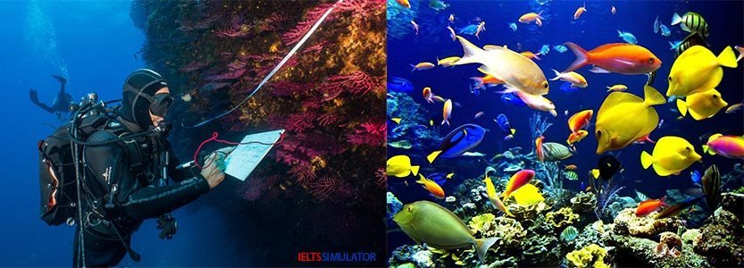 IELTS SIMULATOR ONLINE GENERAL TRAINING LISTENING EASY DEMO – Ocean Biodiversity S8GT4 FREE COMPUTER DELIVERED ONLINE IELTS SIMULATION