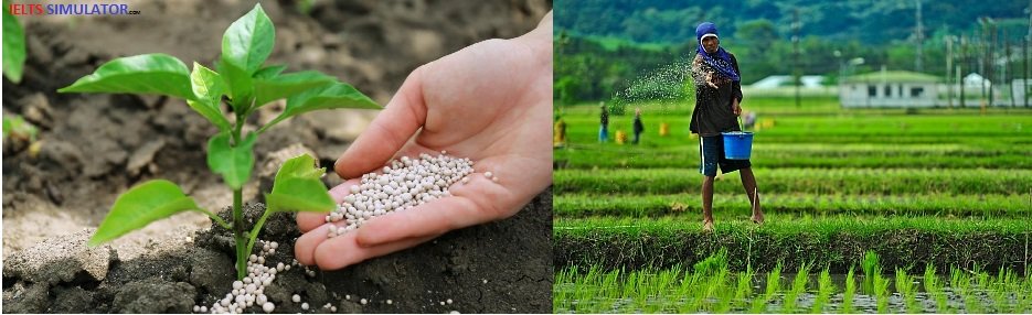 the use of soil to reduce carbon dioxide in the atmosphere ielts