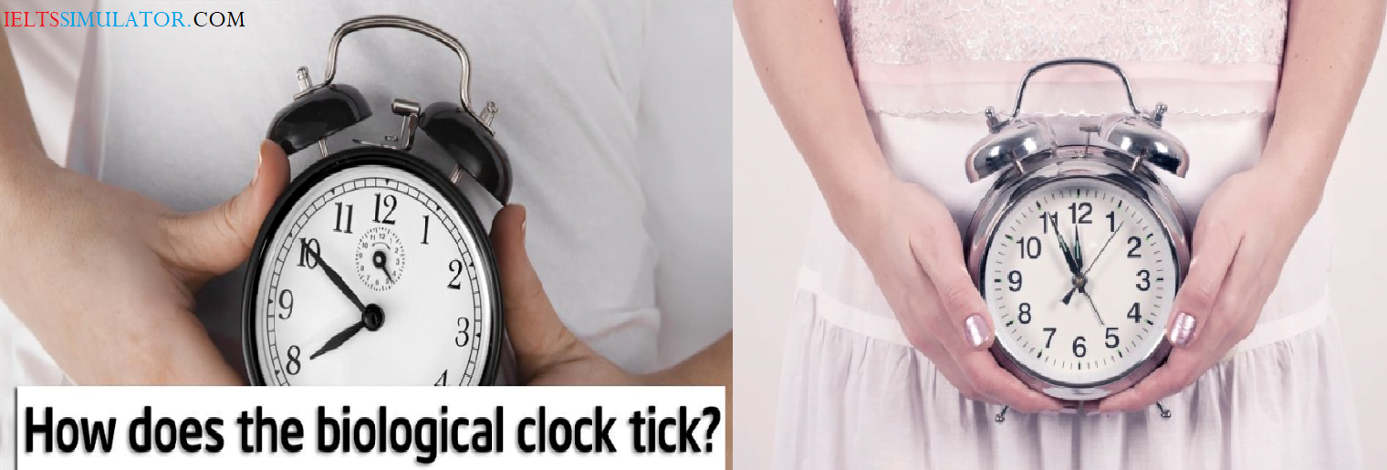 IELTS READING HOW DOES THE BIOLOGICAL CLOCK TICK? S43AT3