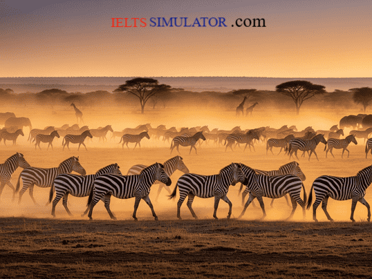 IELTS SIMULATOR ONLINE IELTS READING EASY DEMO - The Zebras’ long walk across Africa S8GT5 FREE COMPUTER DELIVERED ONLINE IELTS SIMULATION Best BAND7 IELTS Dehradun IELTS online simulator IELTS BAND 7 Coaching Classes